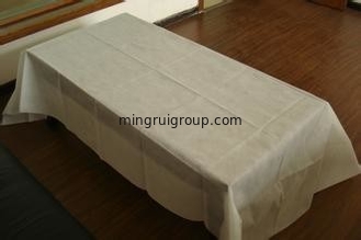 50G, 60G, 70G ,80G, 100% Polypropylene Spunbonded PP Nonwoven Fabrics for Sofa and shoes
