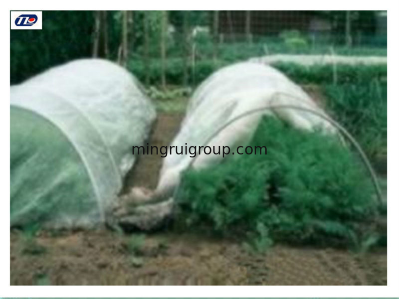 Anti-UV 3% PP Spunbond Nonwoven Fabrics for Agricultural Covers